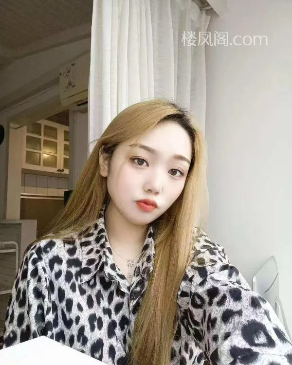 全国免费楼凤资源