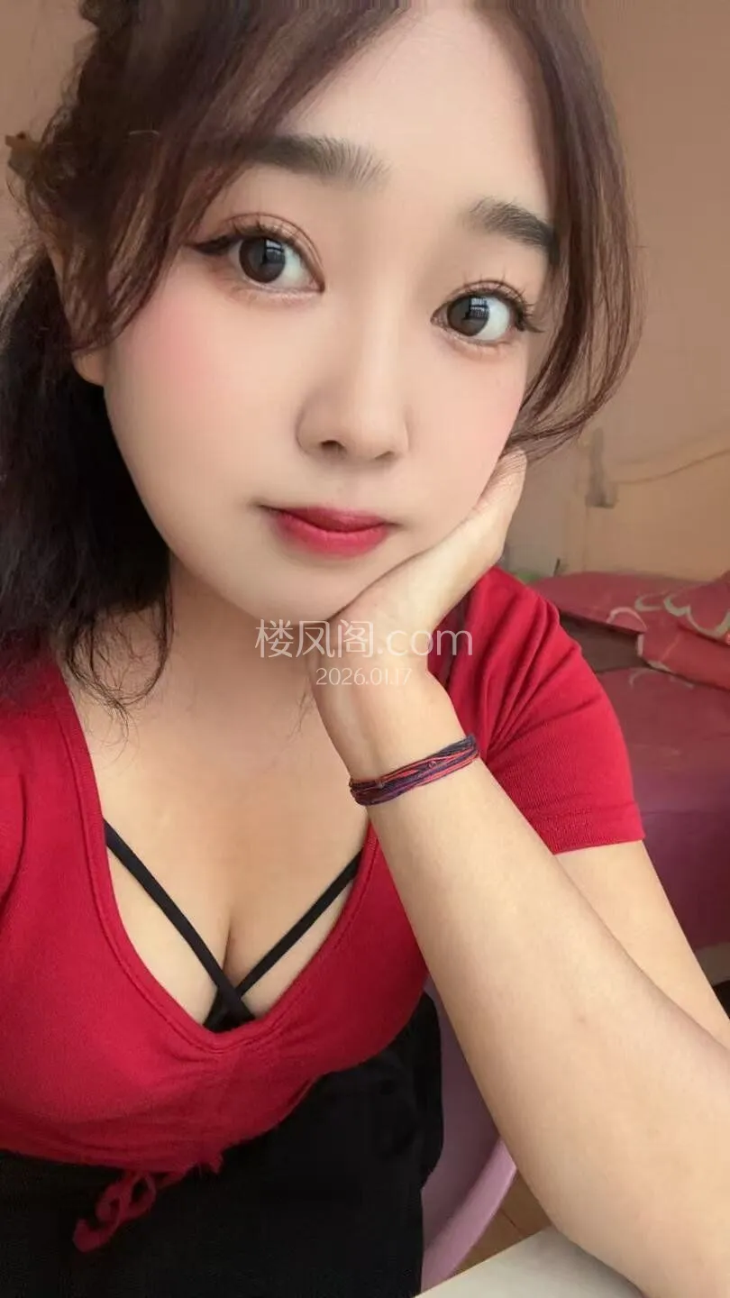 全国免费楼凤资源