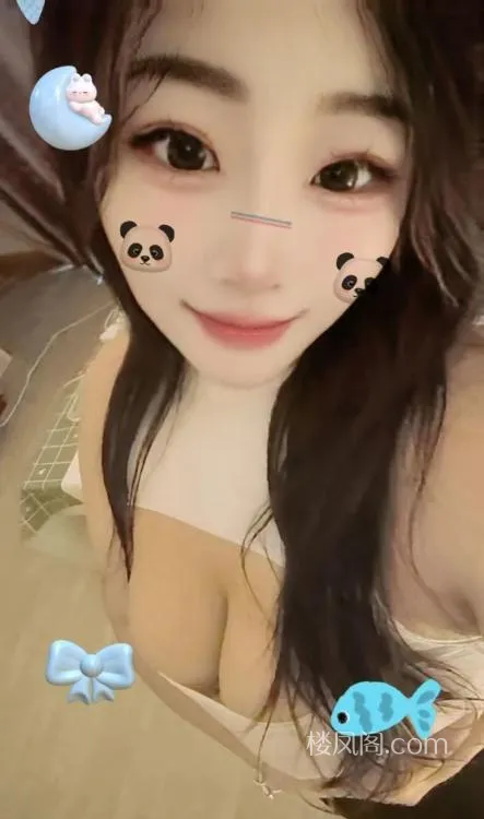 全国免费楼凤资源