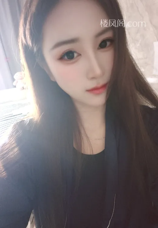 全国免费楼凤资源