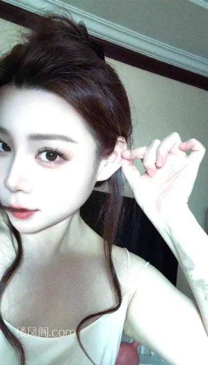 全国免费楼凤资源