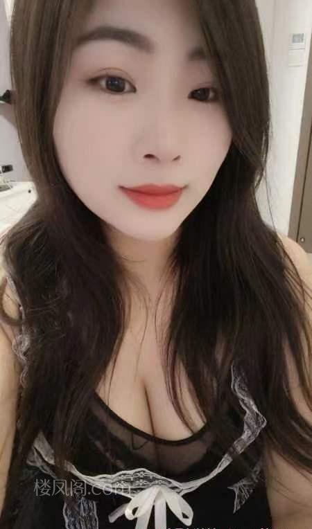 全国免费楼凤资源