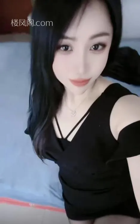 全国免费楼凤资源