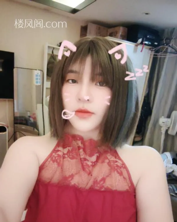 全国免费楼凤资源