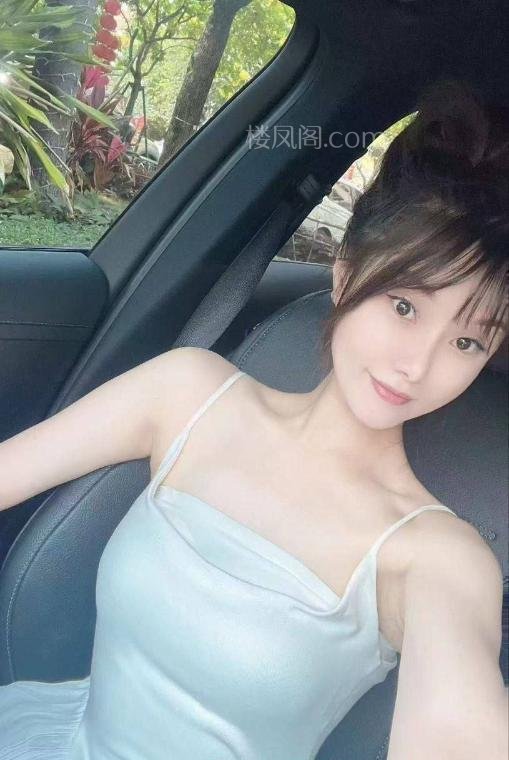 全国免费楼凤资源