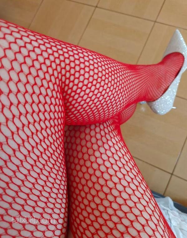 全国免费楼凤资源