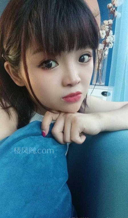 全国免费楼凤资源