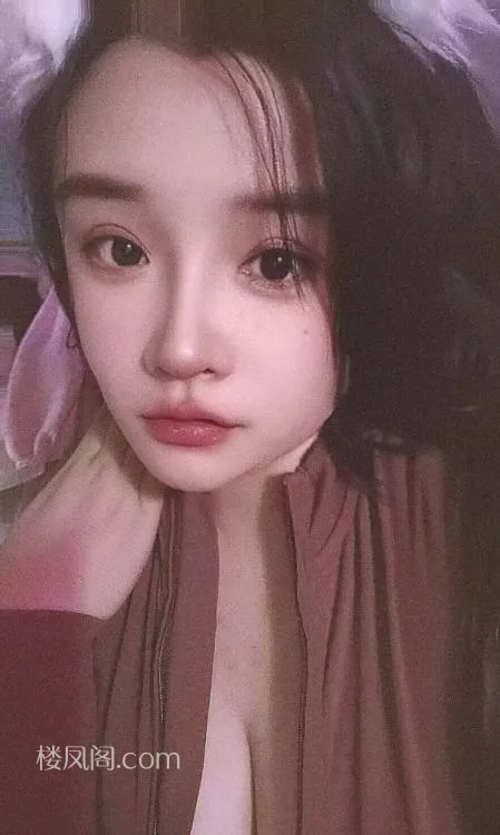 全国免费楼凤资源