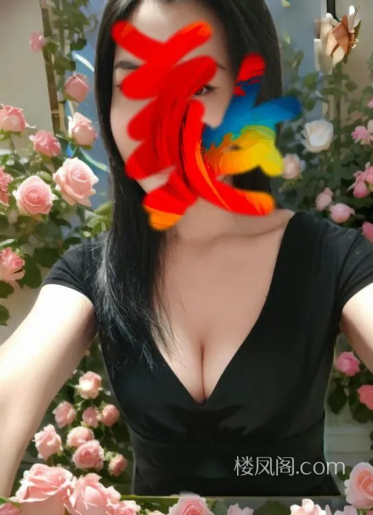 全国免费楼凤资源