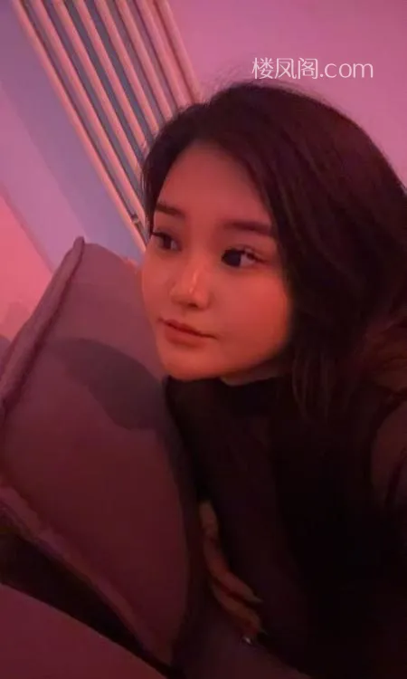 全国免费楼凤资源