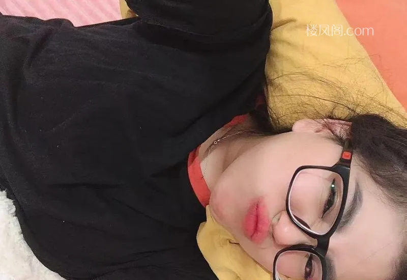 全国免费楼凤资源