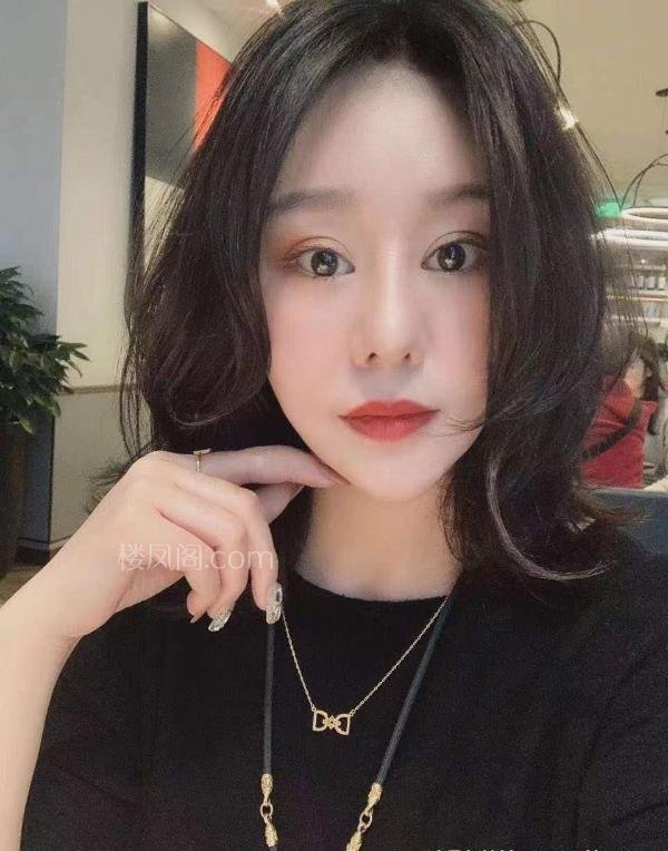 全国免费楼凤资源