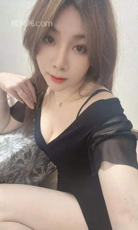 全国免费楼凤资源