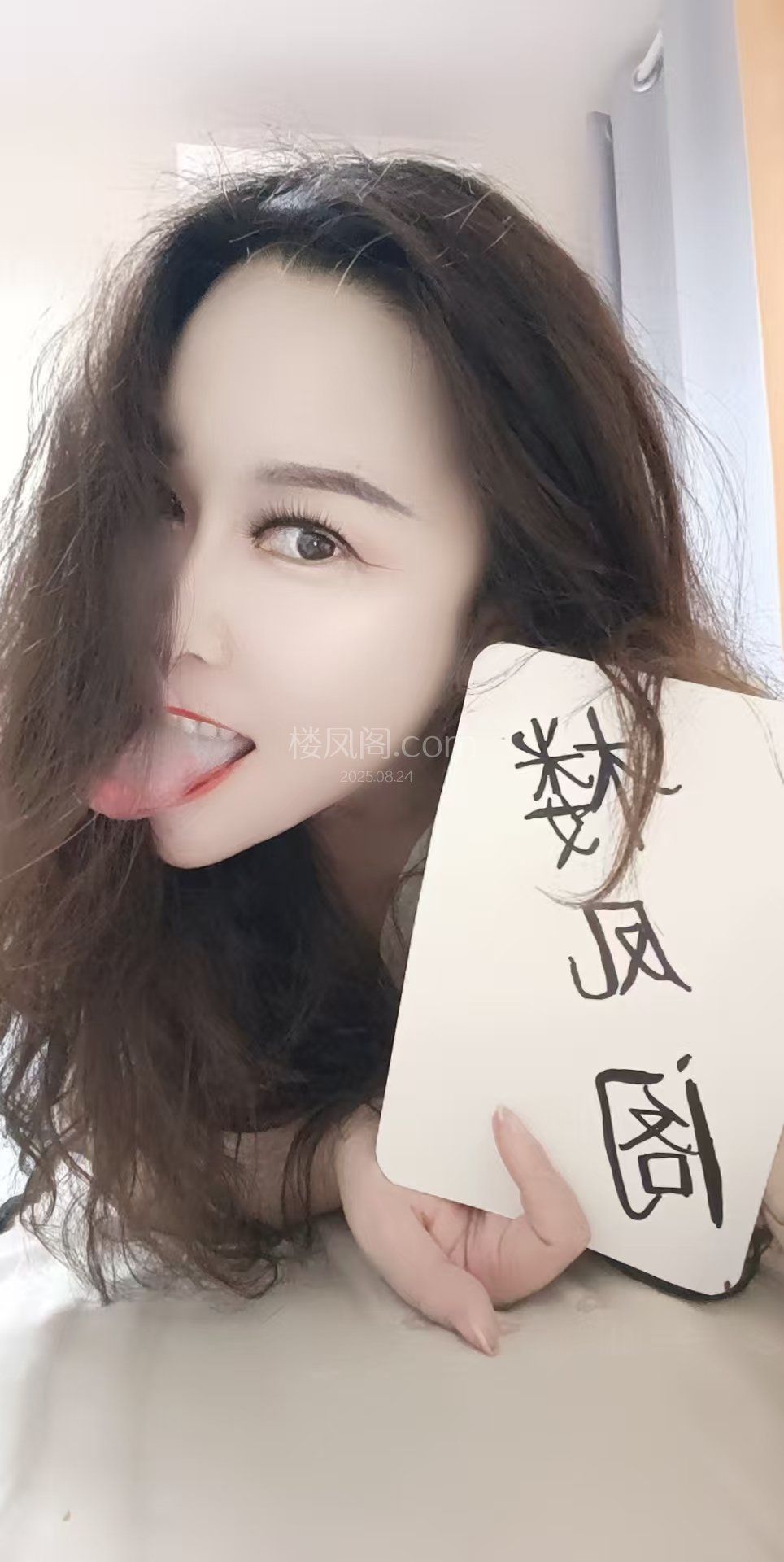 全国免费楼凤资源