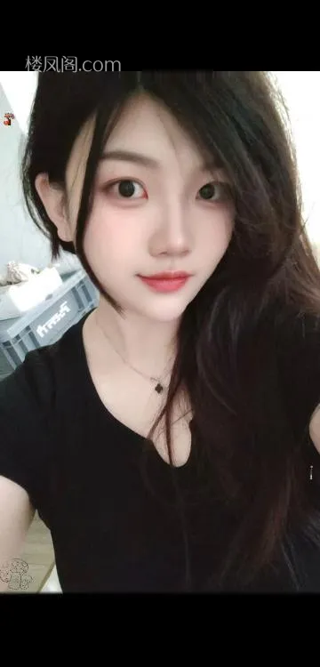 全国免费楼凤资源