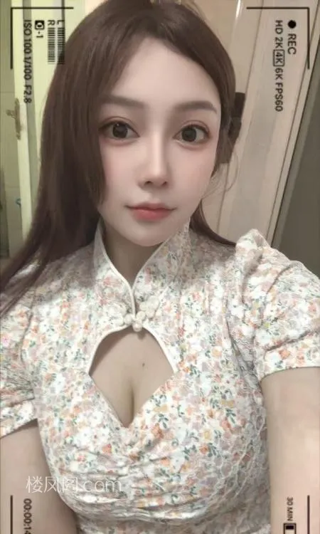 全国免费楼凤资源