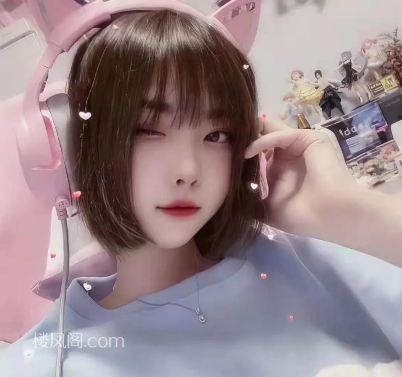 全国免费楼凤资源