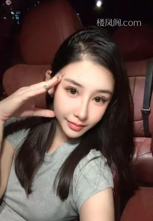 全国免费楼凤资源