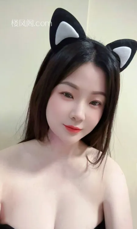 全国免费楼凤资源