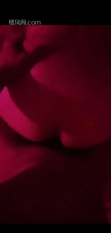 全国免费楼凤资源