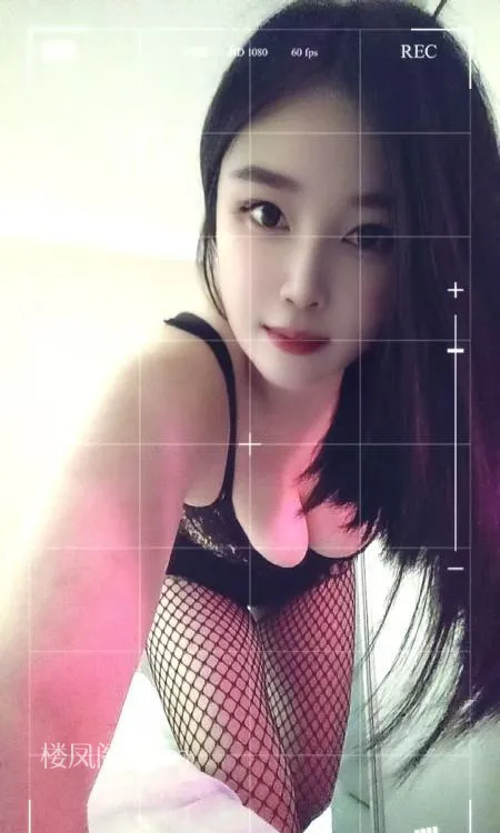 全国免费楼凤资源