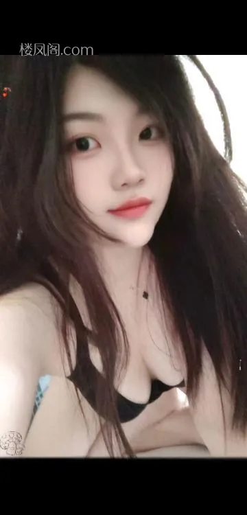 全国免费楼凤资源