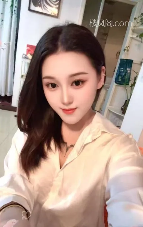 全国免费楼凤资源