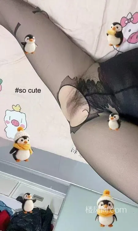 全国免费楼凤资源