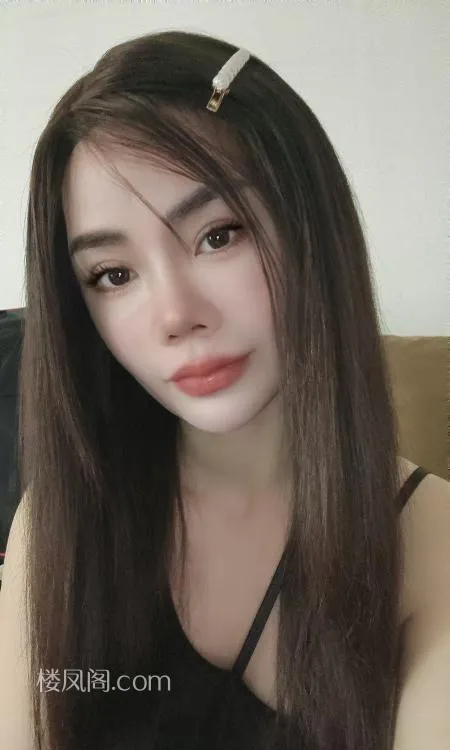 全国免费楼凤资源