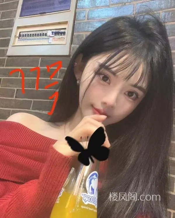 全国免费楼凤资源