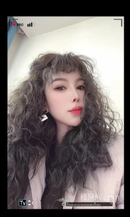 全国免费楼凤资源