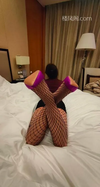 全国免费楼凤资源