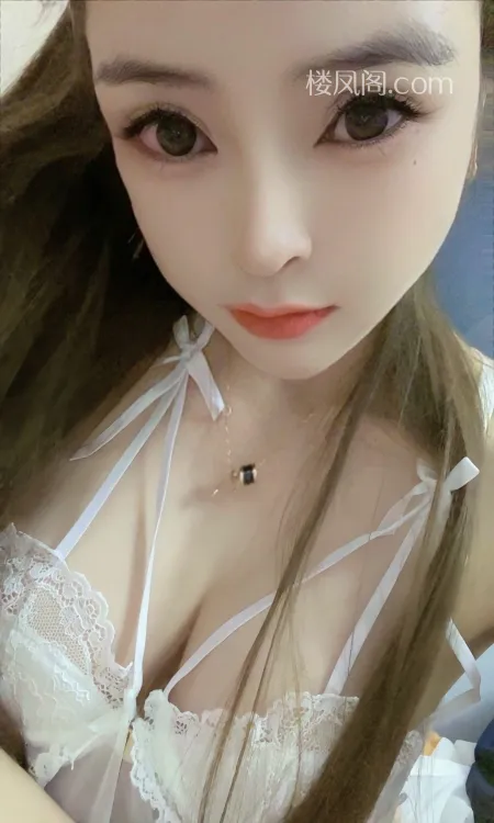 全国免费楼凤资源