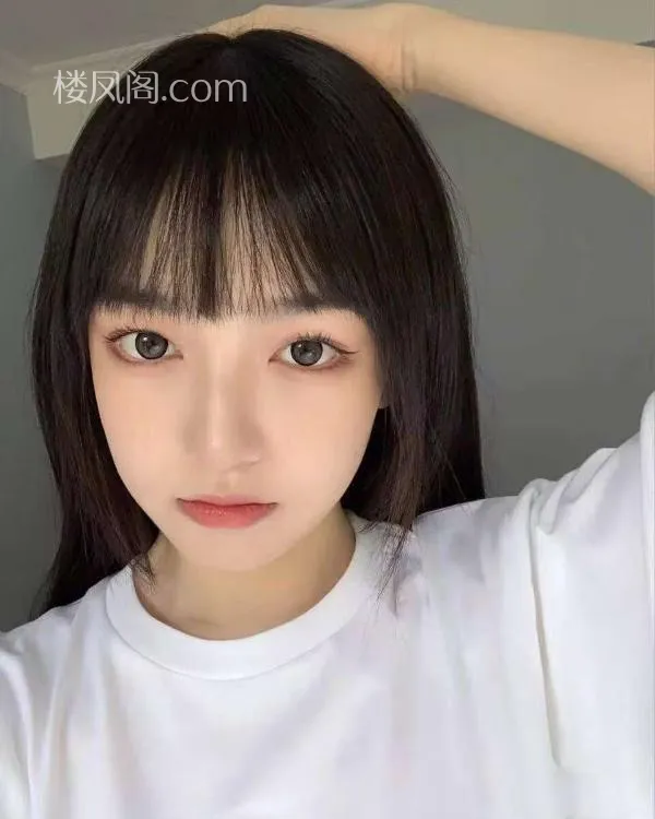 全国免费楼凤资源