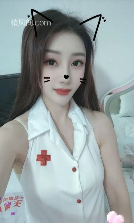 全国免费楼凤资源