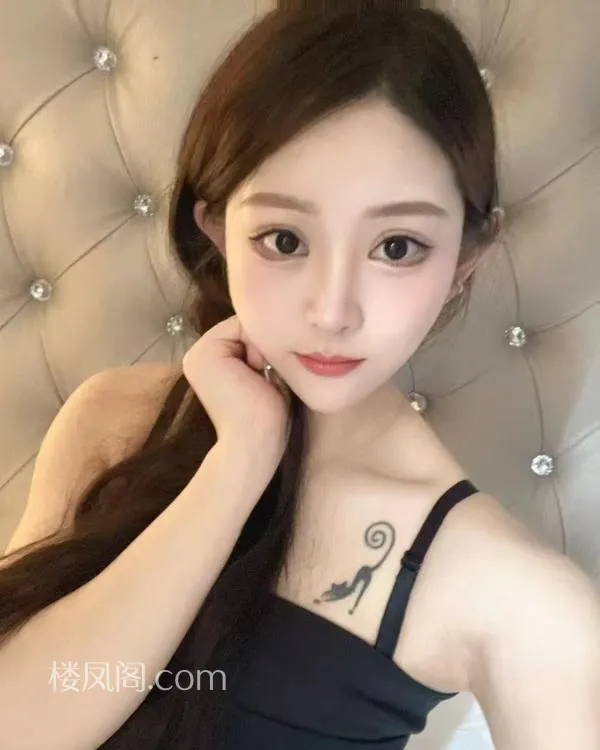 全国免费楼凤资源