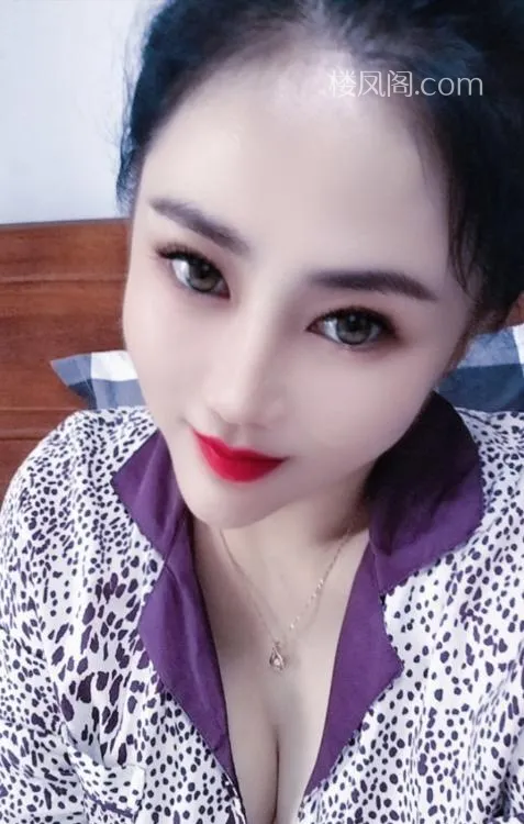 全国免费楼凤资源