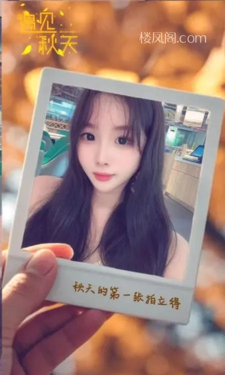 全国免费楼凤资源