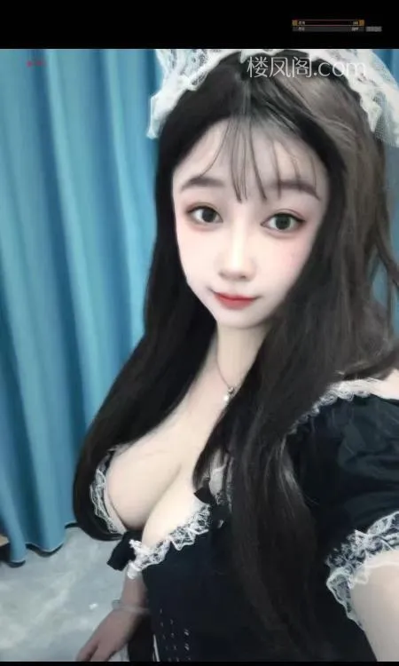 全国免费楼凤资源