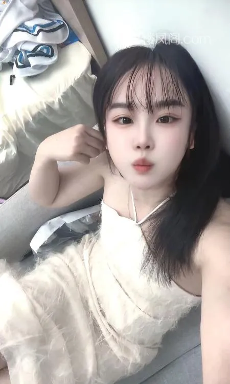 全国免费楼凤资源