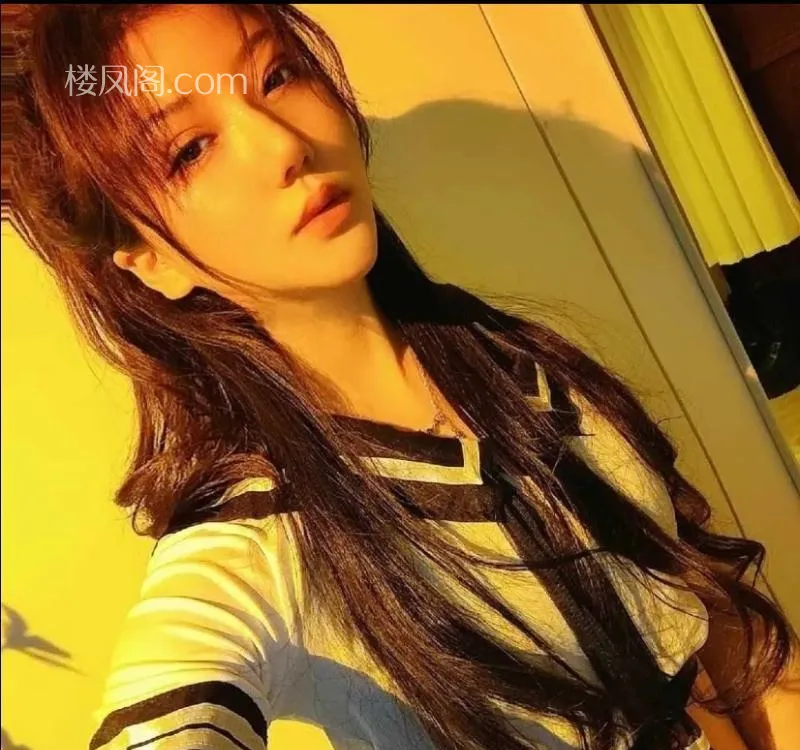 全国免费楼凤资源