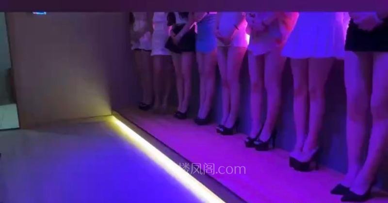 全国免费楼凤资源