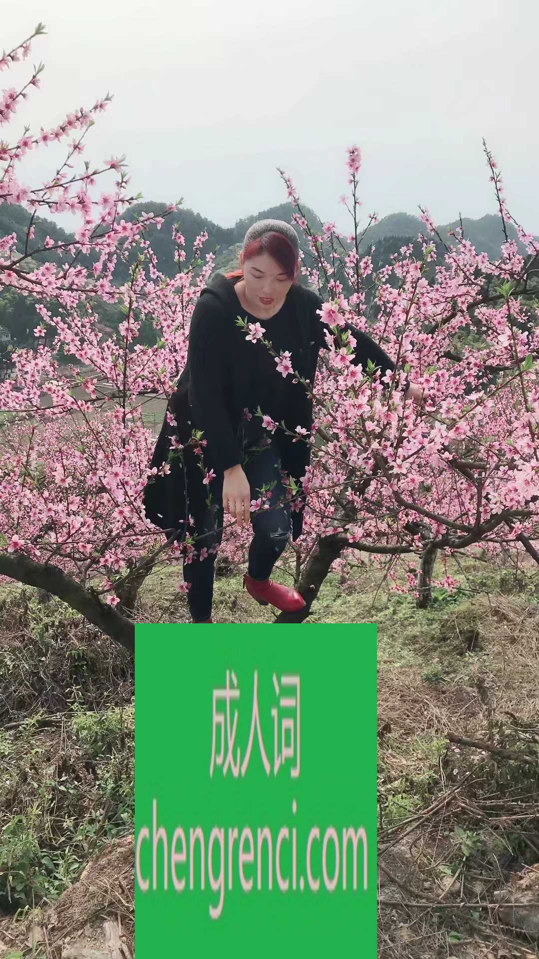 江北 服务项目： 鸳鸯浴，kj，漫游，乳交，舌吻，毒龙，69，情趣内衣，丝袜诱惑 真实本人照片 - 成人词资源网