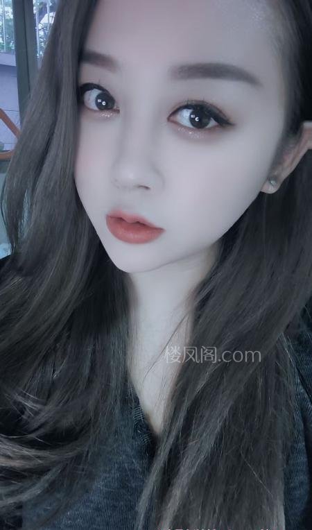 全国免费楼凤资源