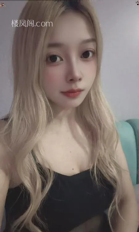 全国免费楼凤资源