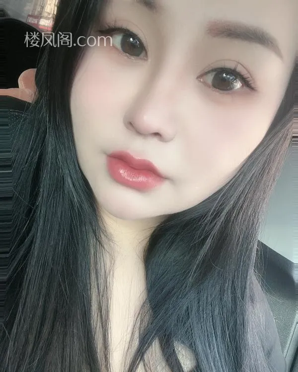 全国免费楼凤资源