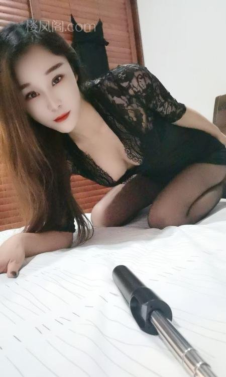 全国免费楼凤资源