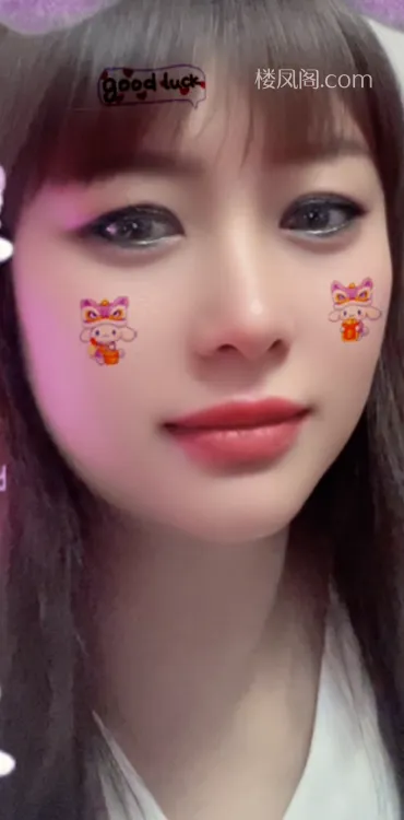 全国免费楼凤资源