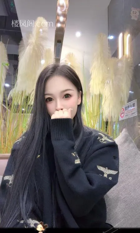 全国免费楼凤资源