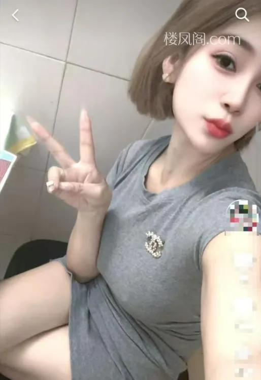 全国免费楼凤资源